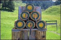 poltertag aktivit�ten